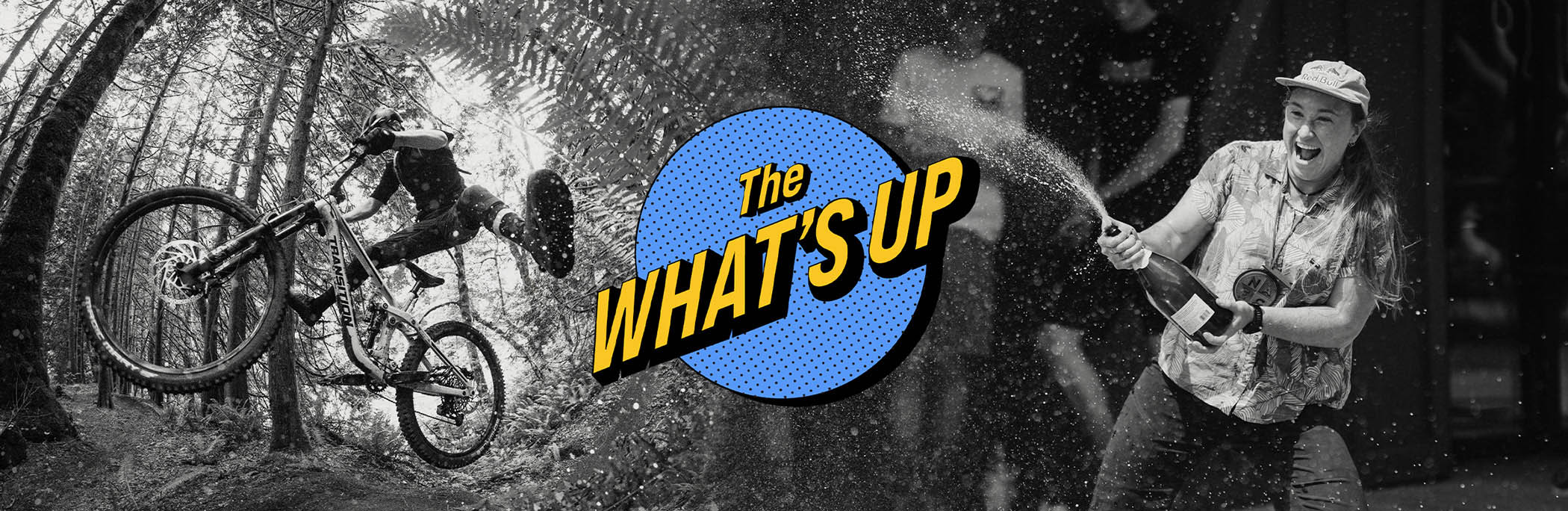 What's Up!